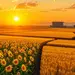 Mercado agrícola bate recordes de produção e exportação